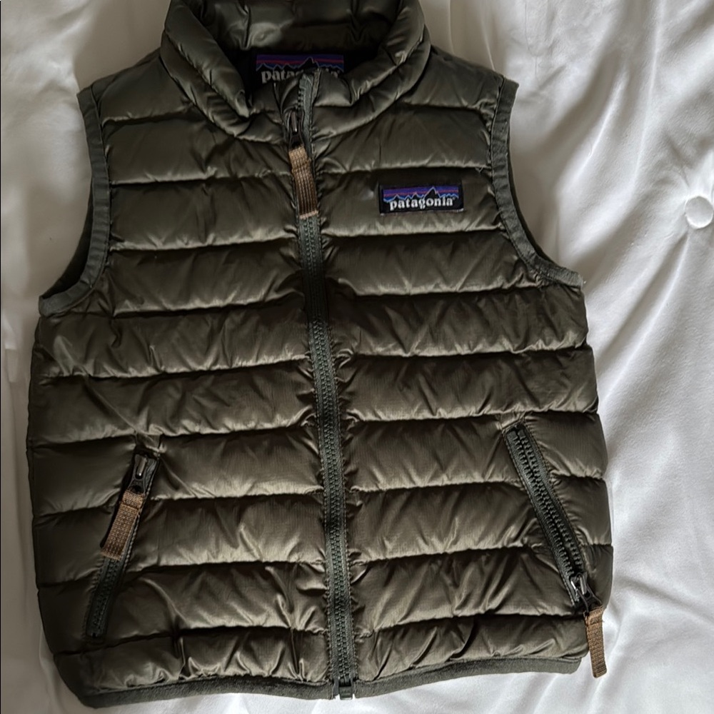 Patagonia Down Sweater Vest 12-18m